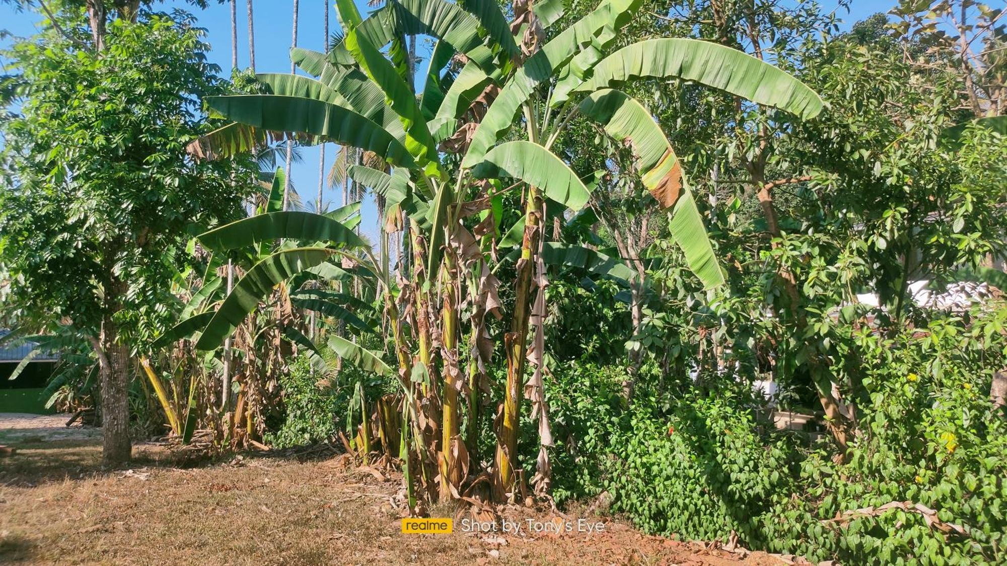 Karapuzha Adventure Park Homestay-By Karapuzha Resorts Meenangadi Exteriör bild
